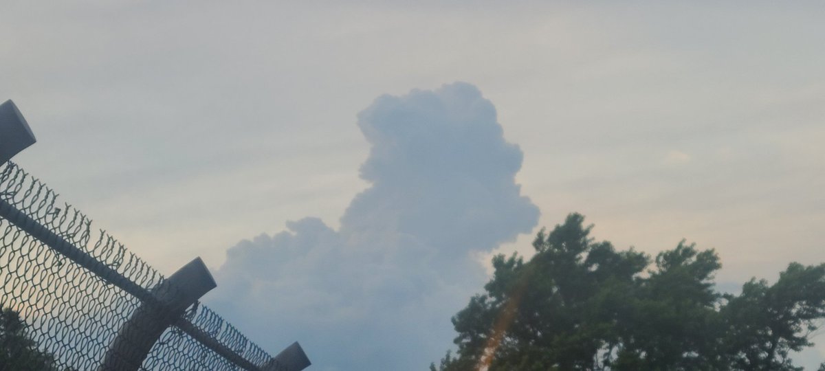 Doug K. (@dougkeally) on Twitter photo 