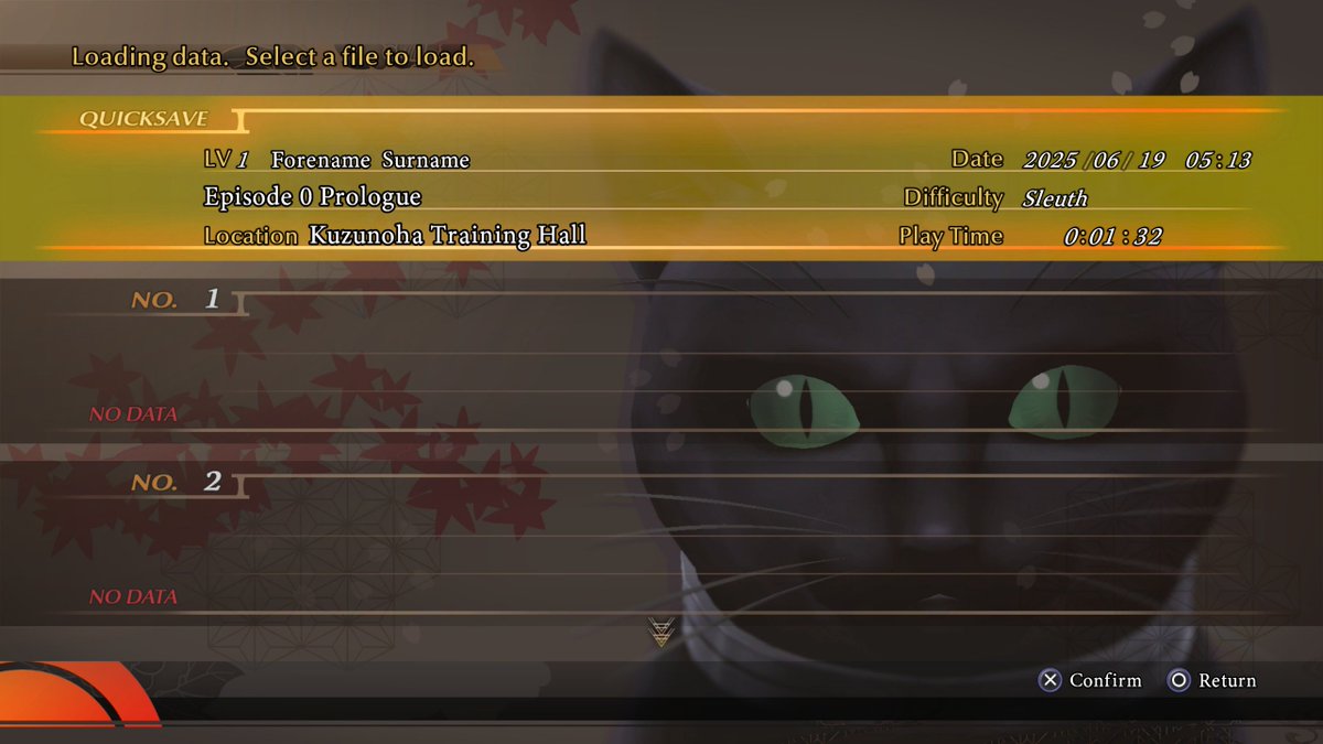 Changing Raidou Remastered's language reveals a default name for the protagonist, similarly to other Atlus games.

Raidou's new official canon name is Forename Surname.