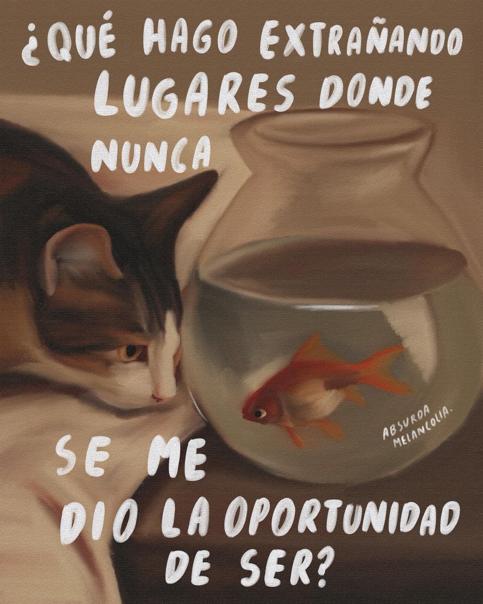 absurdamela's tweet photo. https://t.co/wvNOb0mnrw