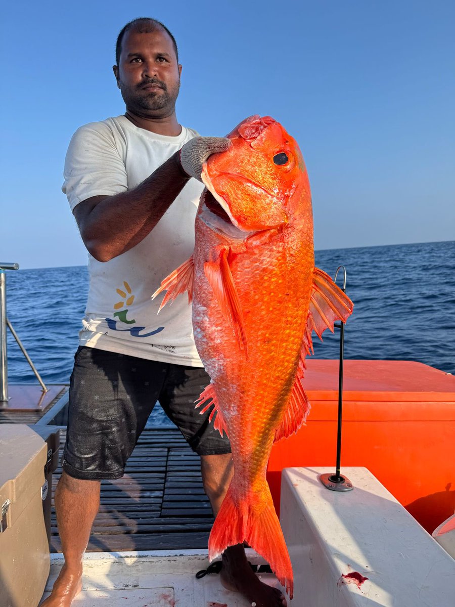 Shaheem Ismail Najeeb tweet media