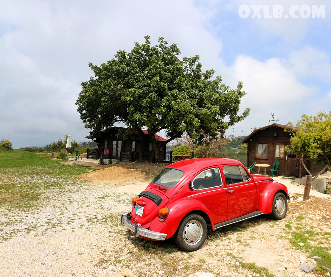 Ah...! I will take a nap for a few hours and be back with a new destination in Lebanon... (Photo taken in Mechehlan Jbeil district) lebanonpostcard.com

#destination #lebanon #jbeildistrict #livelebanon #lovelebanon #discoverlebanon #mechehlan #mylebanon #dreamlebanon