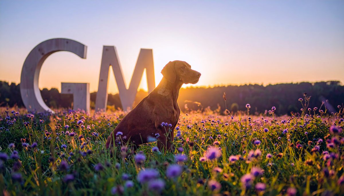 Good morning everyone!