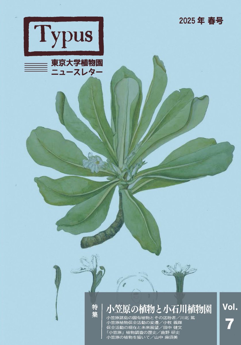 東京大学大学院理学系研究科附属植物園のニュースレター「Typus」7号（定価100円）を発行しました。特集は「小笠原の植物と小石川植物園」です。柴田記念館にてお求めいただけます。ぜひお手にとってご覧ください。 
#小石川植物園 #日光植物園
📷