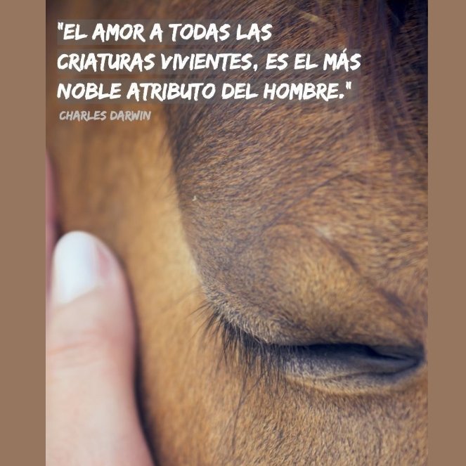 🧡🐎👇🏻

#TodaVidaVale