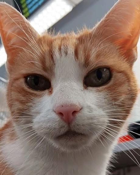 Good morning welcome to Tippetty tap tap Thursday 

Treat yourself like someone who matters—because you do, regardless of what the inner voice of self-doubt whispers to you

Speak kindly to yourself
You matter deeply, even on the days when your own thoughts forget to remind you