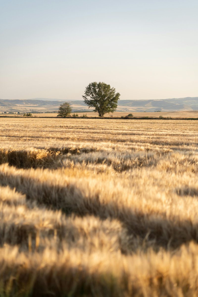 Sex miljoner i anslag från Forte för forskning om kamratstöd för kvinnor med flykterfarenheter och psykisk ohälsa rkh.se/forskning/fors… <a href="/forteforskning/">Forte</a>