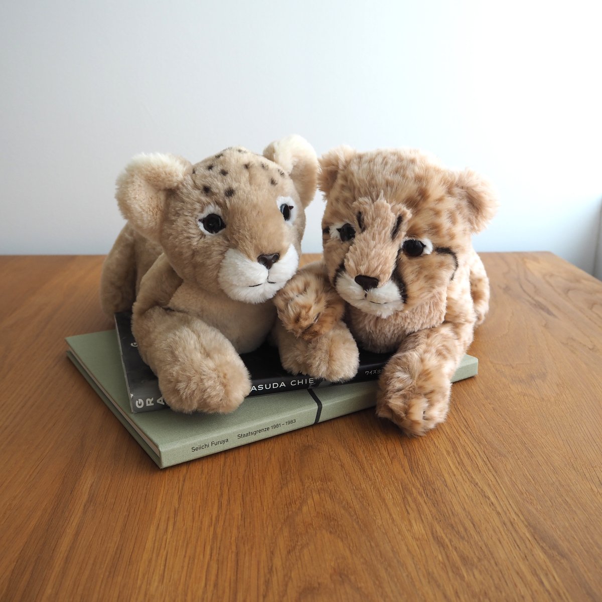 動物園限定　ひざライオン　ひざチーター　2匹セット　メルカリのみ出品 膝に乗せて楽しむぬいぐるみ ひざシリーズ ＼ ライオンの赤ちゃんと