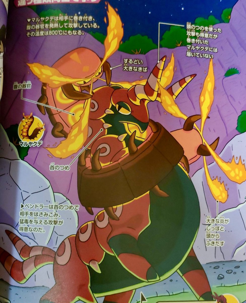 Bonsai/#1 leavanny fan tweet media