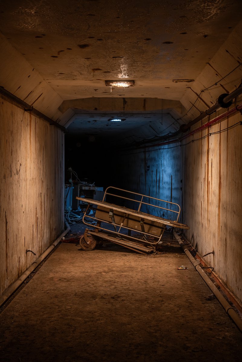 Mr. P. Explores tweet media