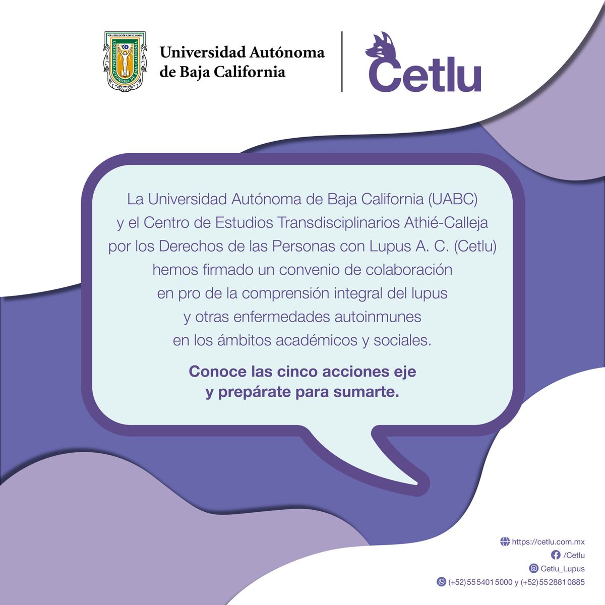 CetluLupusMex's tweet photo. 🎉 ¡Firmamos convenio!
@Cetlu_AC y @OficialUABC se unen para transformar la realidad del #Lupus en México 💜
Acciones:
📊 Censo Estatal
🧠 Programa académico
🏊♀️ Brazada
🟪 Iluminación
🌍 Congreso 2026
#ConvenioLúpico
🔗 https://t.co/WgRM3zys3X
#Cetlu #UABC #PotenciaLupus2026 https://t.co/rqJn9L0S8n