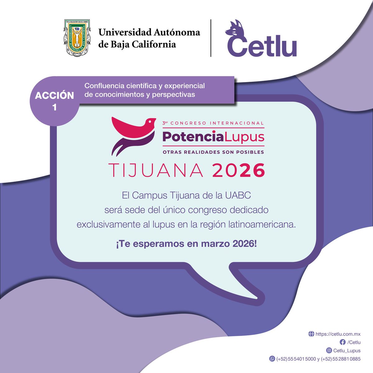 CetluLupusMex's tweet photo. 🎉 ¡Firmamos convenio!
@Cetlu_AC y @OficialUABC se unen para transformar la realidad del #Lupus en México 💜
Acciones:
📊 Censo Estatal
🧠 Programa académico
🏊♀️ Brazada
🟪 Iluminación
🌍 Congreso 2026
#ConvenioLúpico
🔗 https://t.co/WgRM3zys3X
#Cetlu #UABC #PotenciaLupus2026 https://t.co/rqJn9L0S8n