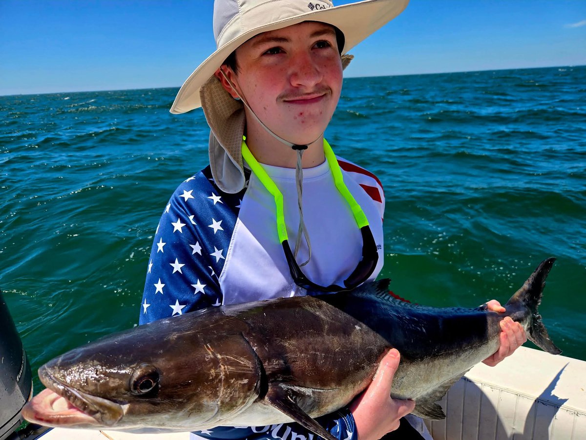 Sheryl NussbaumBeach tweet media