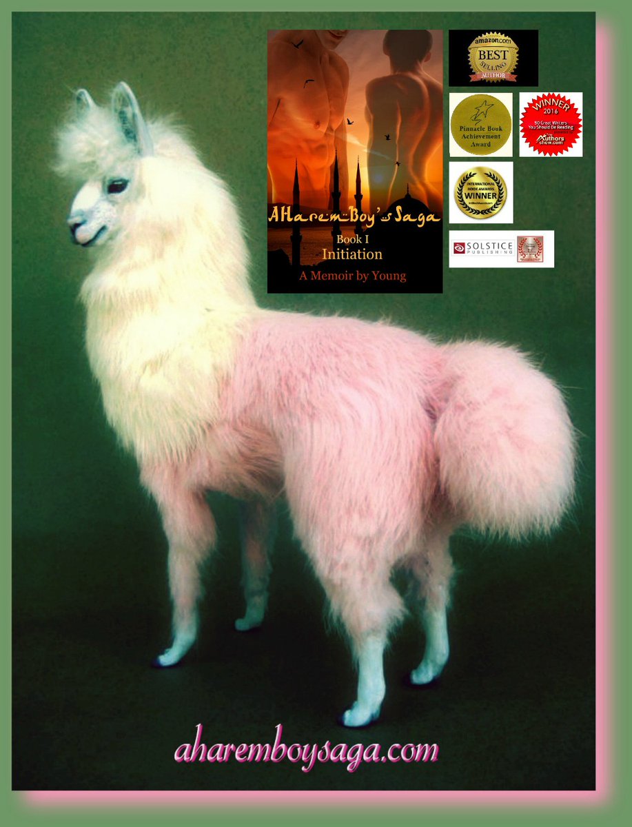Knowledge is power. The better you read, the more power you have.
INITIATION amzn.to/2QxwhxN is a sensually illuminating true story about a young man coming-of-age in a secret society &amp; a male harem.