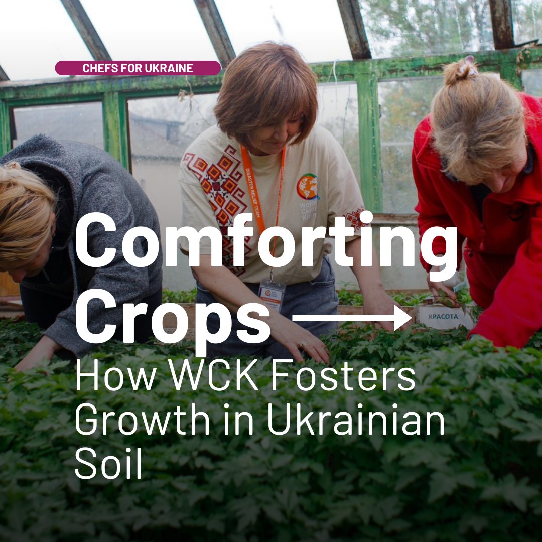 Gardens have long been a part of Ukrainian tradition, providing food, structure, and a connection to home. Even as the war in Ukraine continues, families across the country are still planting. WCK teams are supporting families who grow their own food with seeds and more tools to