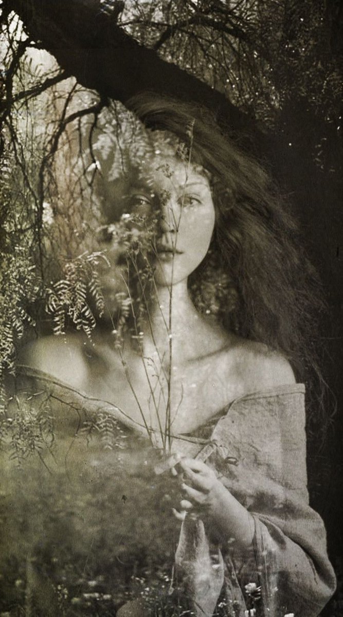 Ces robes folles sont l'emblème
De ton esprit frivole, folle dont 
je suis affolé, je te hais autant que
Je t'aime.

Baudelaire,🕊️