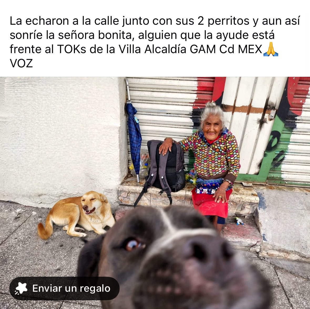 Abogado Animalista (@licanimalista) on Twitter photo Reportan en <a href="/TuAlcaldiaGAM/">Alcaldía Gustavo A. Madero</a> persona de la tercera edad con sus dos perritos viviendo en la calle, trás desalojo. Urge apoyo <a href="/yancolozano/">Janecarlo Lozano</a> <a href="/AgatanCdmx/">Agencia de Atención Animal</a> CCP. <a href="/ClaraBrugadaM/">Clara Brugada Molina</a>
Por favor no los separen son una familia. Reportan en <a href="/TuAlcaldiaGAM/">Alcaldía Gustavo A. Madero</a> persona de la tercera edad con sus dos perritos viviendo en la calle, trás desalojo. Urge apoyo <a href="/yancolozano/">Janecarlo Lozano</a> <a href="/AgatanCdmx/">Agencia de Atención Animal</a> CCP. <a href="/ClaraBrugadaM/">Clara Brugada Molina</a>
Por favor no los separen son una familia.