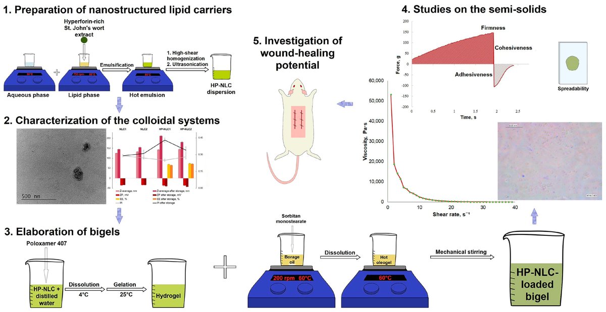 Gels MDPI (@gels_mdpi) on Twitter photo #Highly_cited
📢 "Bigel Formulations of Nanoencapsulated St. John’s Wort Extract—An Approach for Enhanced Wound Healing" by Yoana Sotirova et al.
🔗mdpi.com/2310-2861/9/5/…
#biphasic_gels #hyperforin #Hypericum_perforatum #wounds #Highly_cited
📢 "Bigel Formulations of Nanoencapsulated St. John’s Wort Extract—An Approach for Enhanced Wound Healing" by Yoana Sotirova et al.
🔗mdpi.com/2310-2861/9/5/…
#biphasic_gels #hyperforin #Hypericum_perforatum #wounds
