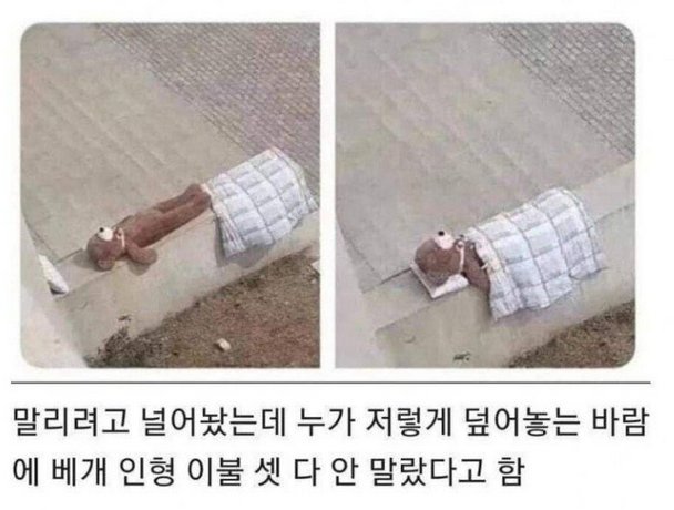 친절이 부른 대참사