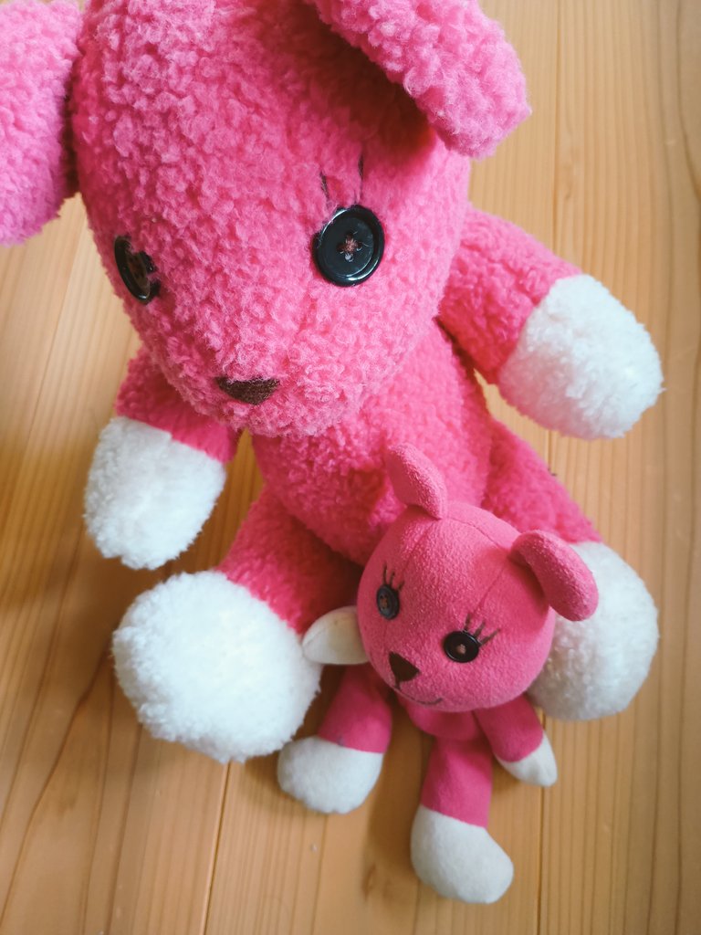 <a href="/PostPetPress/">モモ(PostPet)🎀</a> 私も店頭のモモちゃん達と沢山お話した日のことを思い出しました
うちに来てくれてありがとう🍑💕