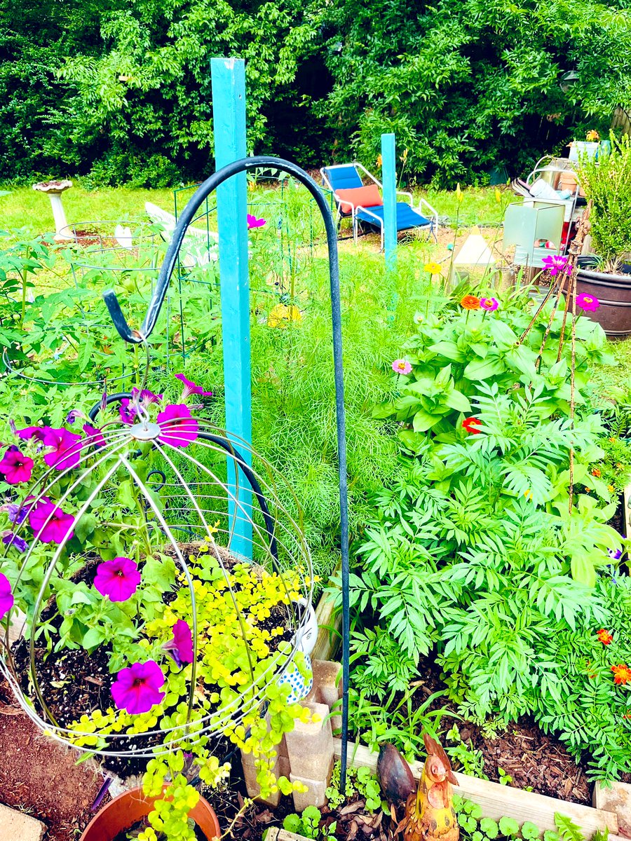 Rainbow over my garden in 5 points <a href="/spann/">James Spann</a>