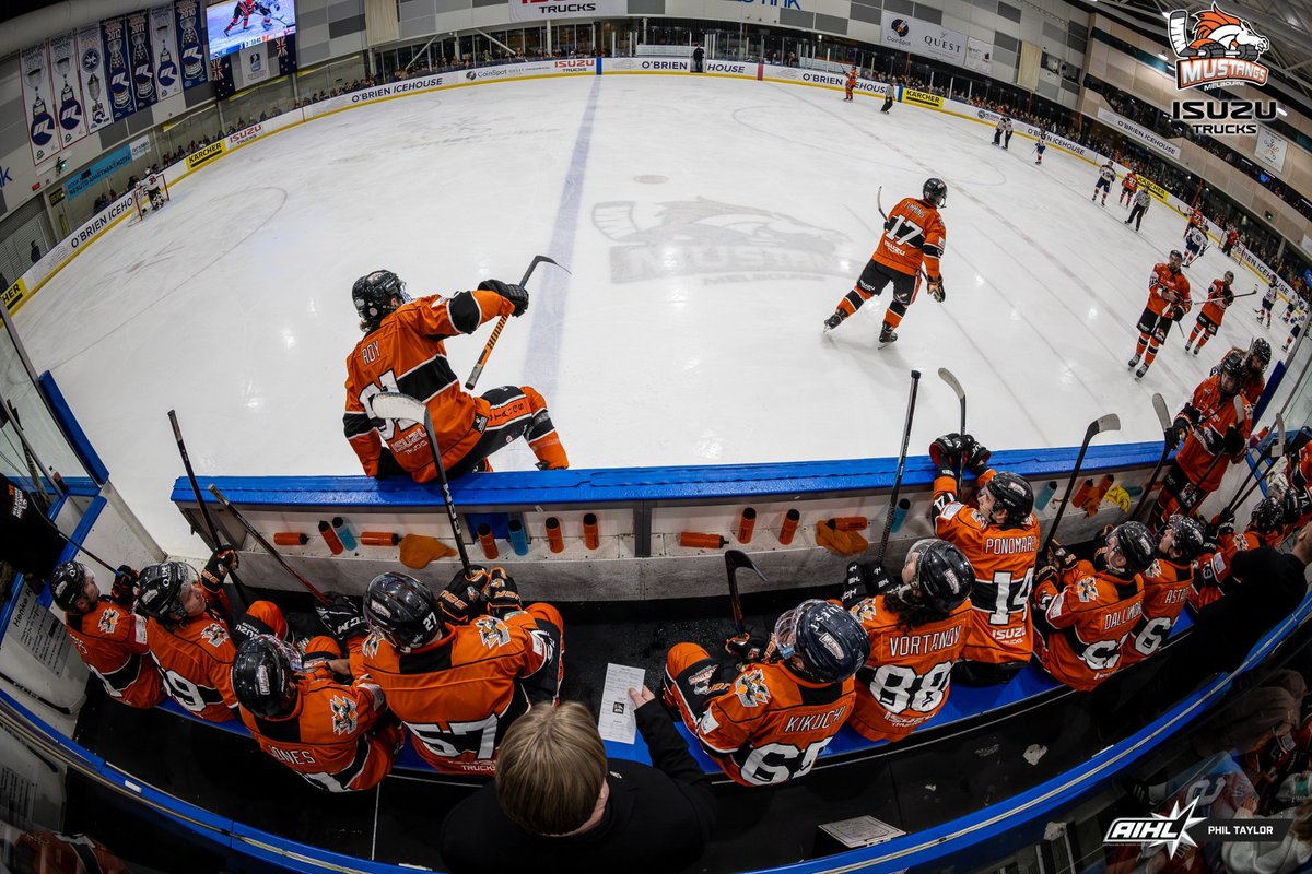 🐟👁️ ⁠
⁠
⁠
⁠
📷 @phil_taylor_photo