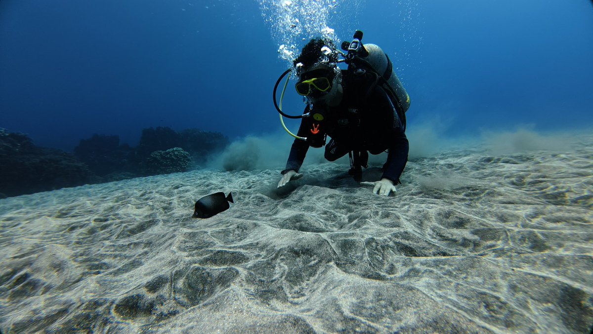 Mathilu2004's tweet image. Foto dump :)