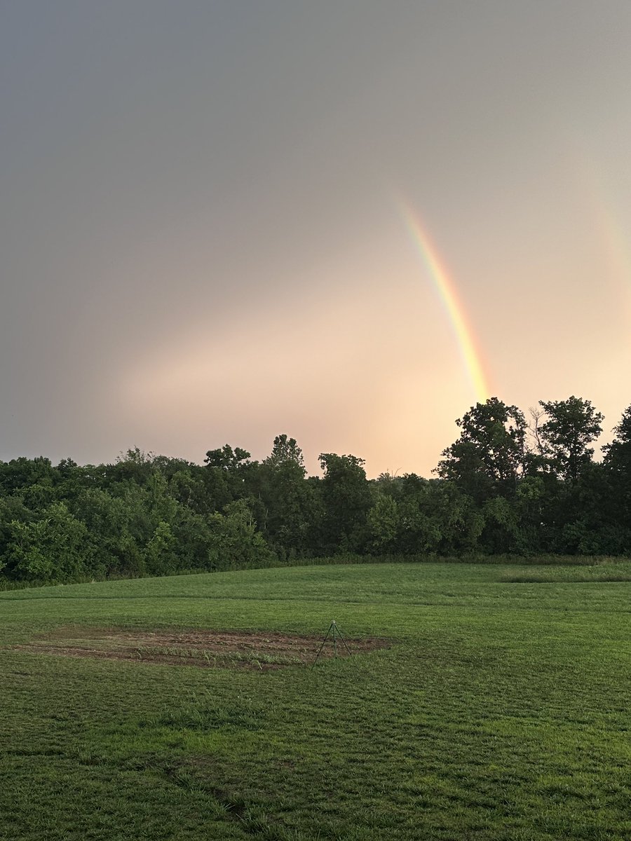 Jessica Holmes tweet media