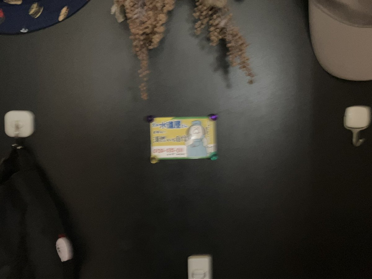 これを！こうして！こう！！
(玄関ドアの覗き穴を塞いでいた適当な水道屋さんマグネットに貼り付けた)
これでいつでもふわんわんがおうちを守ってくれるわん〜〜〜