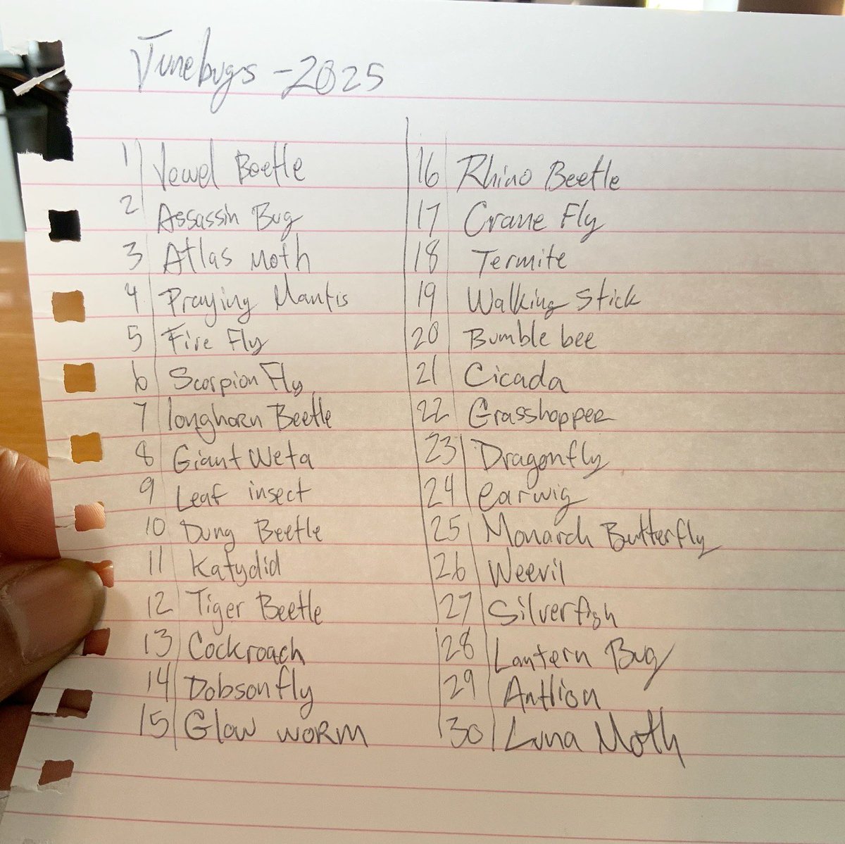 jamstarX's tweet image. Do you even like bugs?

Well, Look at my quirky drawings!

Daily prompts from a list inspired by the homie @vincentghoste 

Swipe for process!

#creatures #character_design #jamjamart #insects #drawingchallenge #junebugs #Illustrator