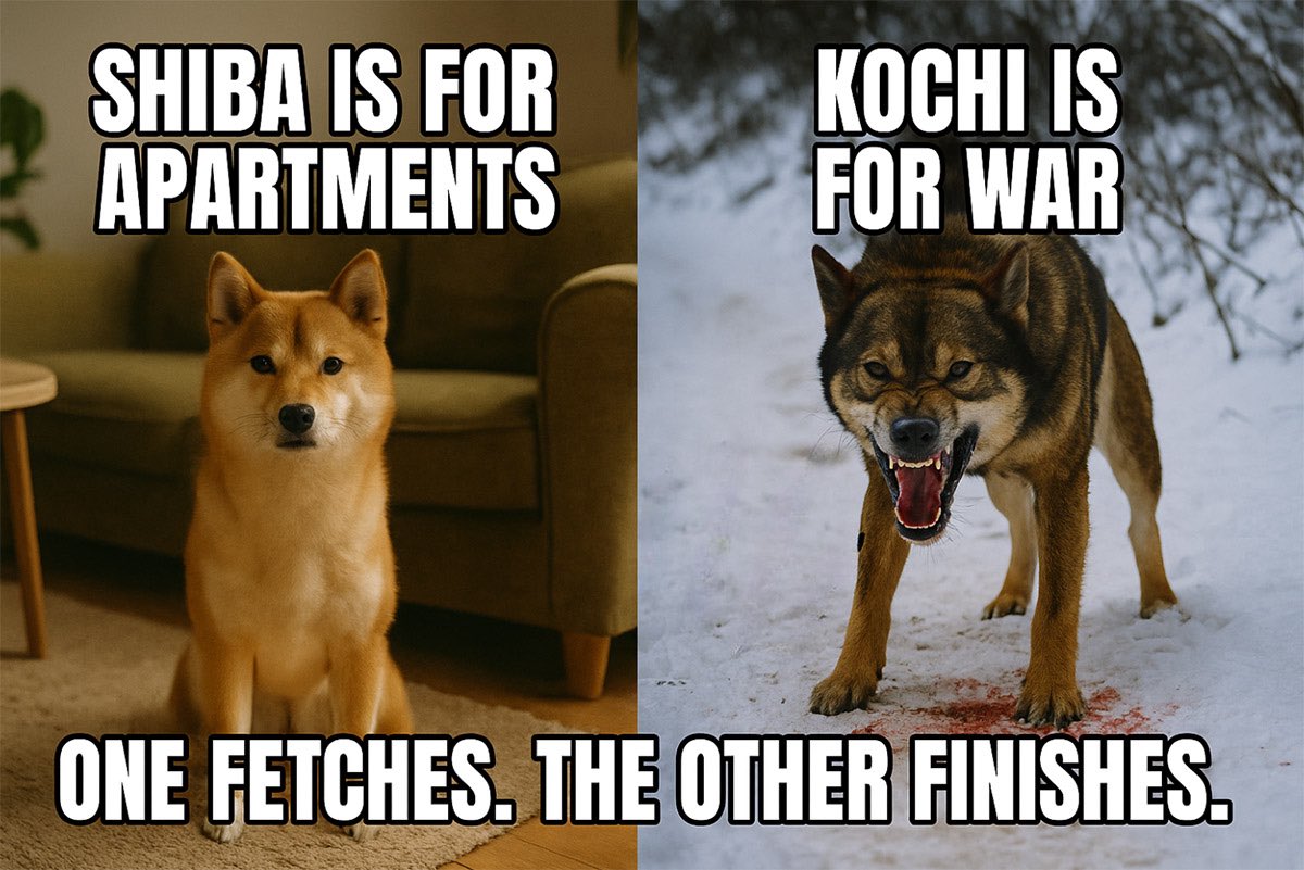 aped $KOCHI 
I heard that it's a good team 

Kochi dogs are a type of Japanese dog that has been raised in the mountains of Kochi Prefecture for the purpose of hunting wild boars and deer. 

They are highly loyal and play a role in protecting their families and homes. Go for