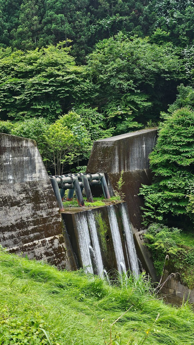 HonyRainbow's tweet photo. この村は急峻な地形に覆われてるから
道路走ってるだけで堰堤が随所に見える
まるで登山道のよう
注意してみてるといろんな形があって
もっと探したくなってくる
そんなこともおもしろい

#移住
#山里
#堰堤
#山道ドライブ https://t.co/m8wbWznJ6h