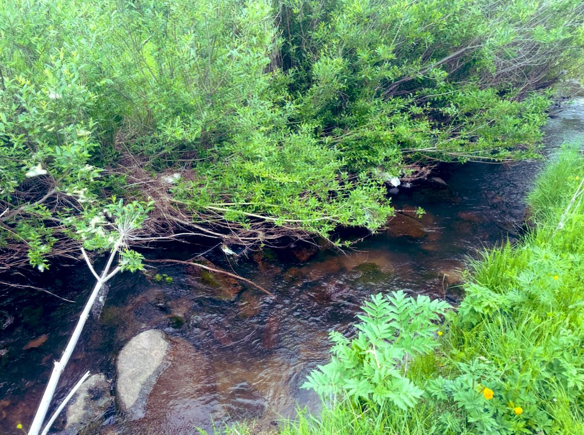 Өглөөний мэнд хүргэе. 
Та бүхнийхээ пүрэв гаригийн ажил үйлсэд нь амжилт хүсье. 
Бороо л ороосой.