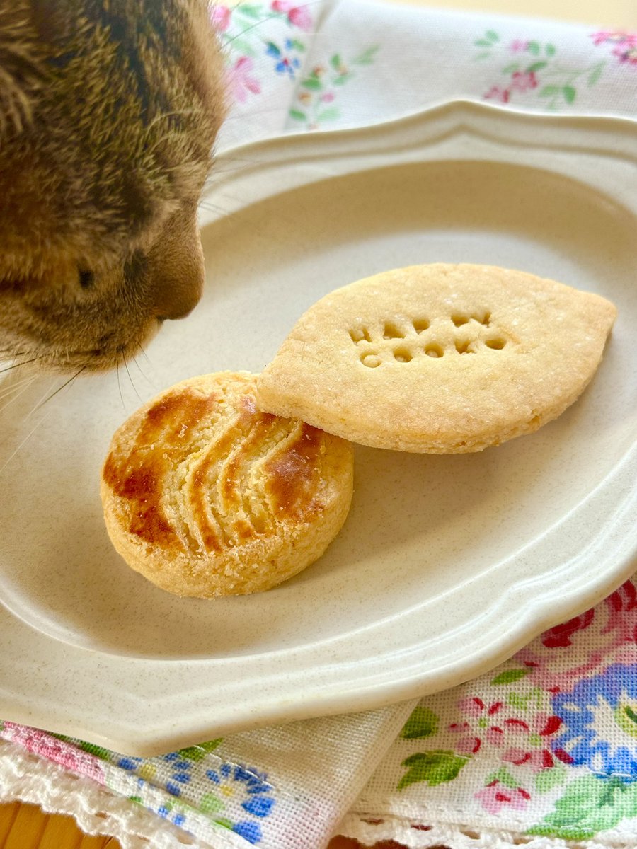 Chii2025525's tweet photo. お土産で頂いたクッキー🍪
魚沼産コシヒカリ100%の米粉、平飼い卵、オーガニックシュガー、純正植物油を使っているそう。なので、グルテンフリー、バター不使用。
さっくりほろほろで食感よく、自然な甘さでとってもおいしい!
その上、体にも優しいなんて✨
良い香りににゃんチェック😹
#HAPPYCOOK https://t.co/BOCWnd0Xv3