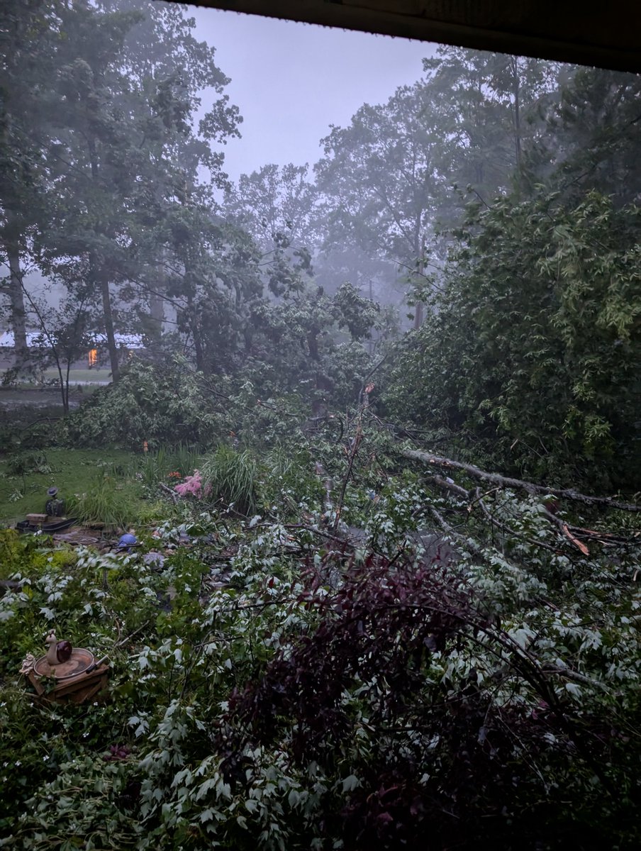 rayjd1650's tweet photo. @ryanhallyall tree down in Medina, Ohio. https://t.co/gFJkZr6bXw