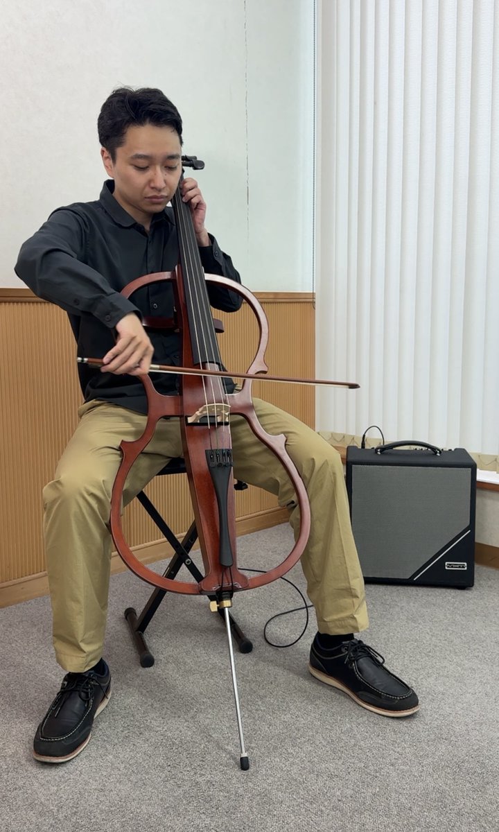 にゃんちゅうの様　チェロ チェロ本体】ニコロ・サンティ NSC240 アバンティ – 杜音バイオリン