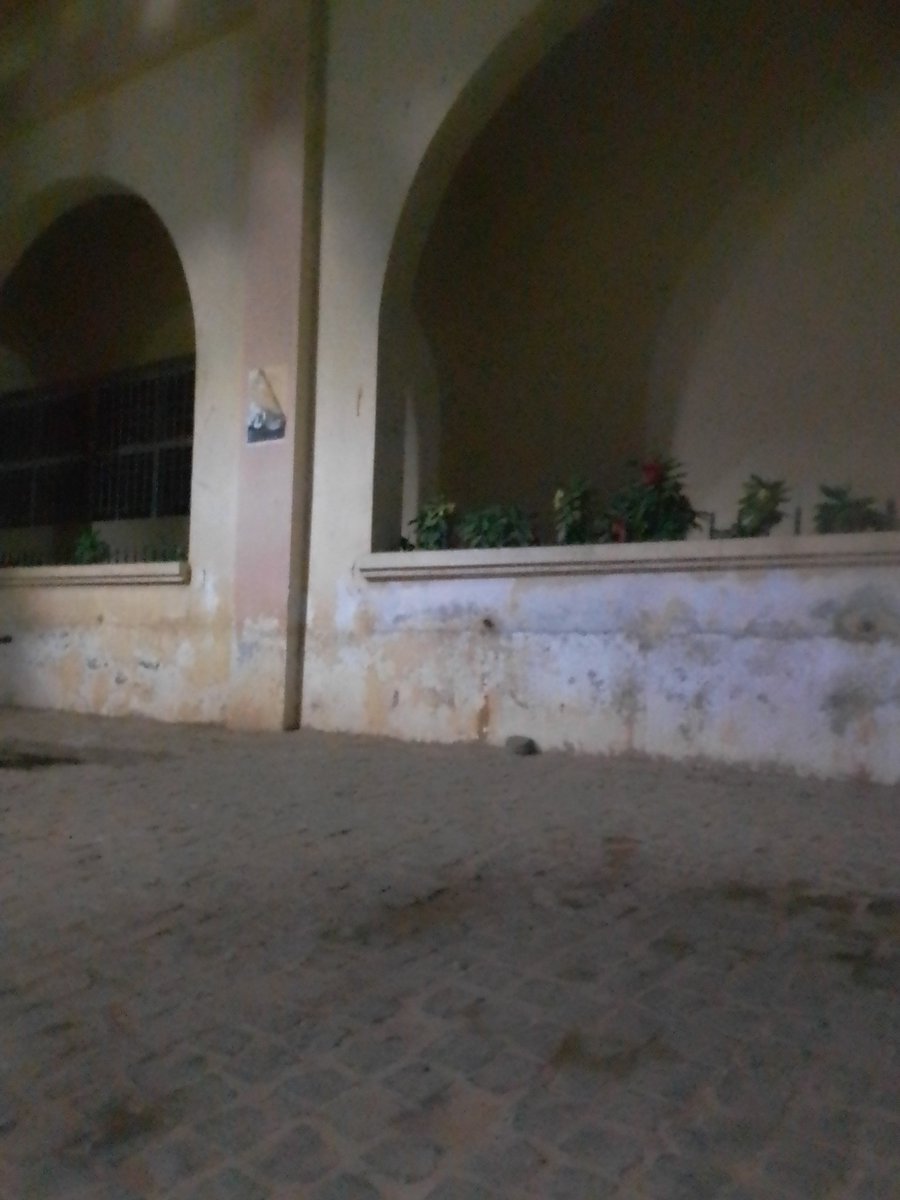 Pourquoi aucune fleur ne m'aime
Suis-je libre d'être une nuit
Jusqu'à ce qu'une étoile qui luit
Me demande de suivre ses vœux
Suis-je aveugle comme on nait
Sans aucun rêve pour crier la vie
Car aucun rêve ne me parle plus
Pour l'instant je ne pleure pas
Dêtre une réalité qui fuit