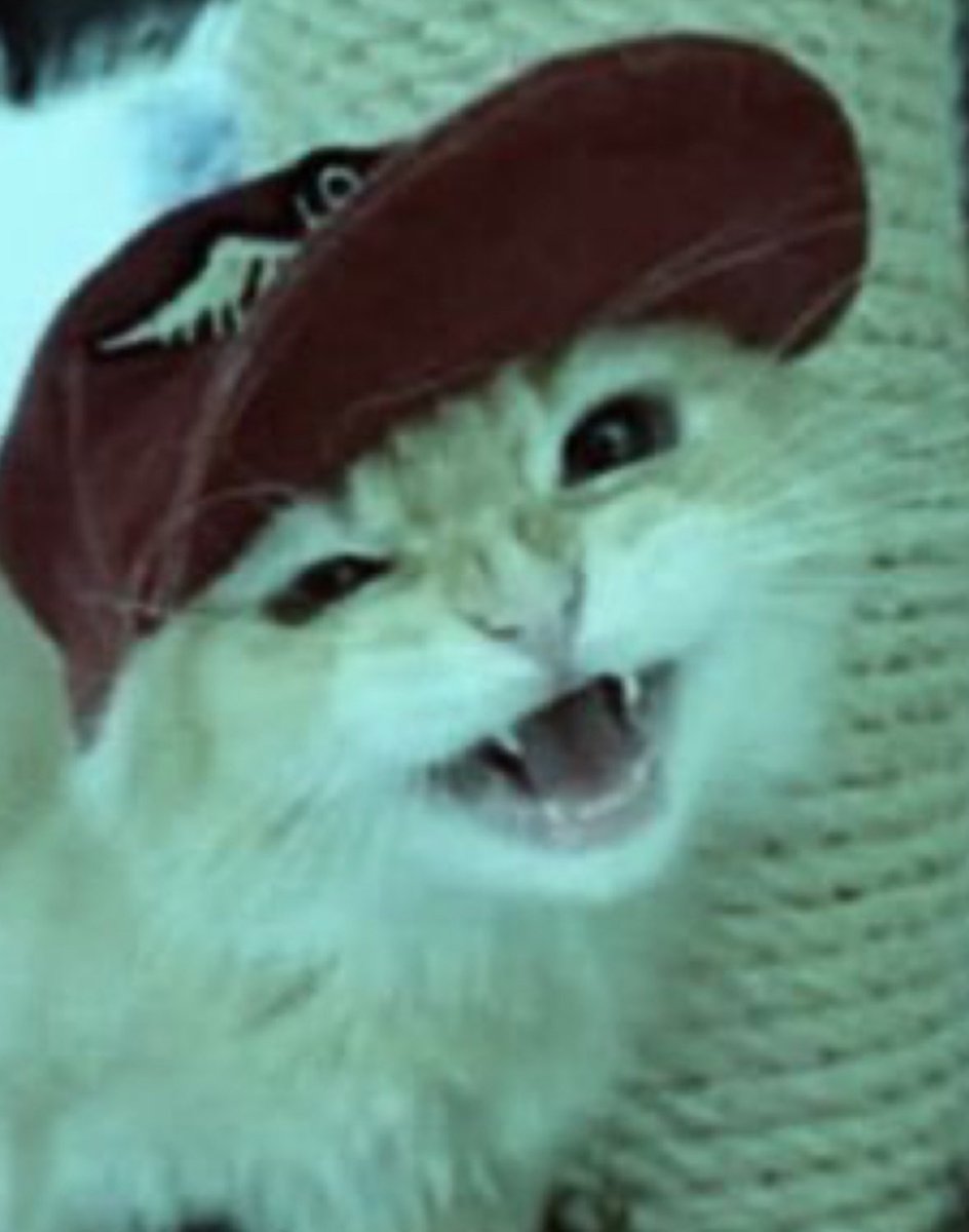 patrickkateman's tweet image. Sorry for the inactivity guys I’ve been taking my prescribed amount of adderall