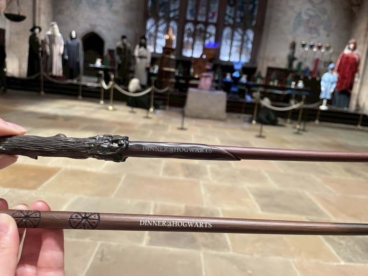 座席にはランダムに杖のプレゼントが置かれていて、ハリーとセドリック