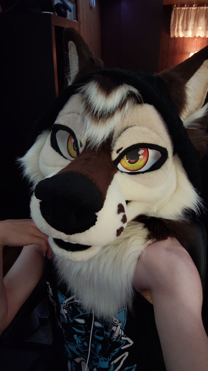 Sassy waff time ✨✨✨