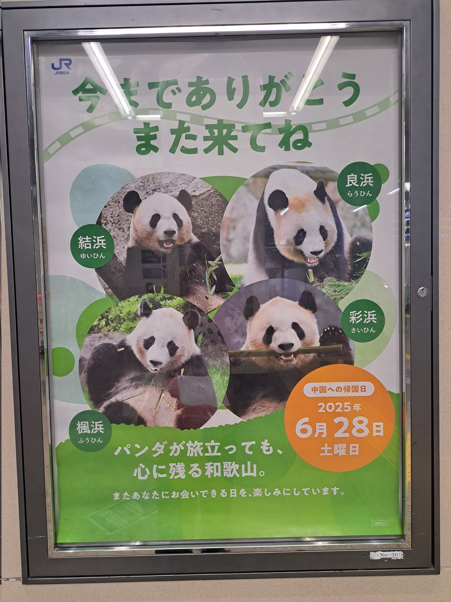 ジャイアントパンダ 　ポスター(昭和当時品) 谷口キヨコ on X: 