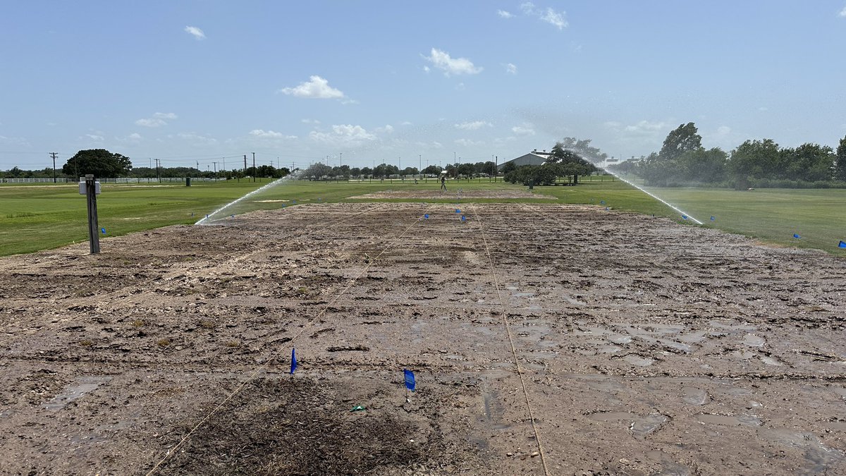 Manuel Chavarria Ph. D (@manolo_turf) on Twitter photo Behind the scenes: Our 2025 trial plots are in! Testing next-gen Bermudagrass varieties with NTEP. <a href="/AggieTurf/">AggieTurf</a> <a href="/tamusoilcrop/">TAMU Department of Soil and Crop Sciences</a> <a href="/kmorris_NTEP/">Kevin Morris</a> Behind the scenes: Our 2025 trial plots are in! Testing next-gen Bermudagrass varieties with NTEP. <a href="/AggieTurf/">AggieTurf</a> <a href="/tamusoilcrop/">TAMU Department of Soil and Crop Sciences</a> <a href="/kmorris_NTEP/">Kevin Morris</a>