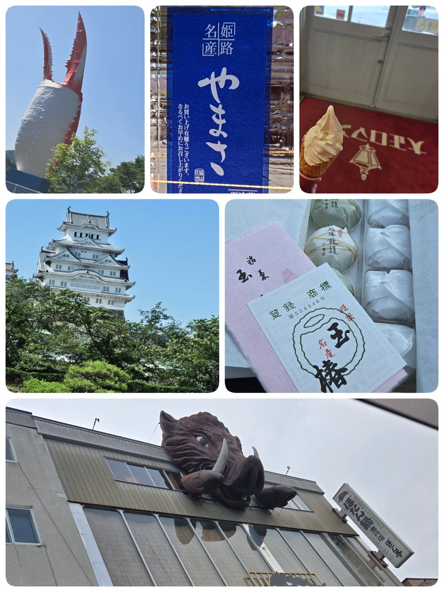 WhiteLove914's tweet photo. 姫路城からの篠山城
お城🏯巡りドライブ🚗³₃
リアルもネットも充実してて
幸せなのですぅ🫰🥰🫶 https://t.co/ryB6UMi20r