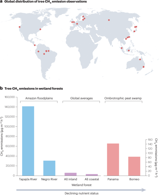 NatRevEarthEnv's tweet image. New online! Tree methane exchange in a changing world bit.ly/3T0mulA