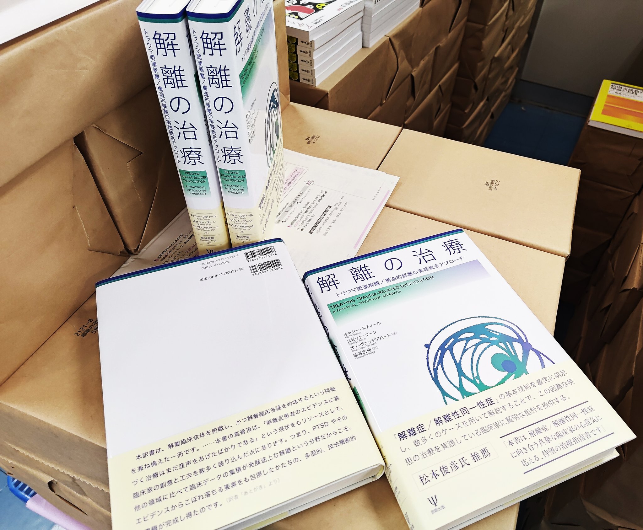 解離の治療 : トラウマ関連解離/構造的解離の実践統合アプローチ 解離の治療: トラウマ関連解離/構造的解離の実践統合アプローチ