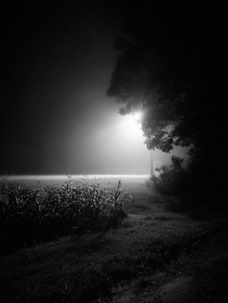 anju 🦌 tweet media