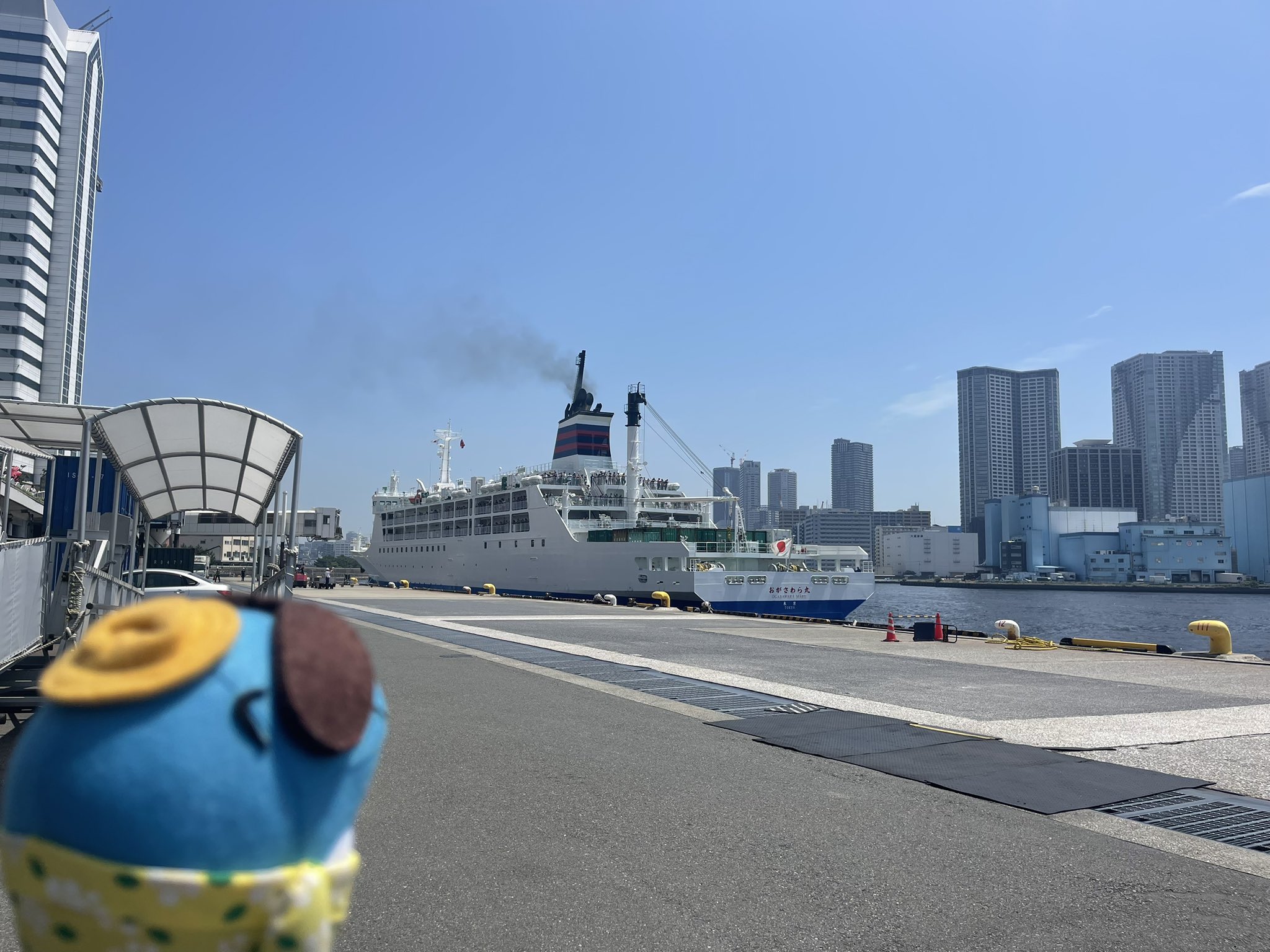 小笠原流 包結のしるべ 上下 小笠原流 包結のしるべ 上下 - メルカリ