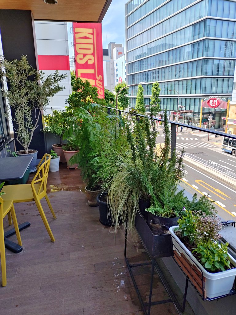 今日も暑いです。
bookapartmentは本日12:30-18:30で営業します。

金曜日に会社帰りの方が短時間でお越しくださることがありますので、お試しで金曜日に少し時間延長を検討しております。決まりましたら告知しますね。