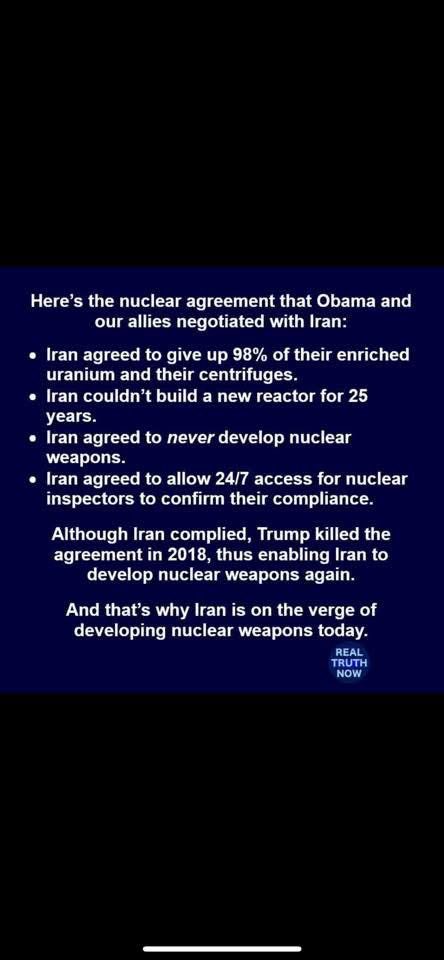 A (@nelliegdog) on Twitter photo 