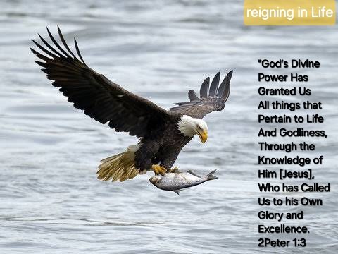 517Magazine's tweet image. #reigningInLife