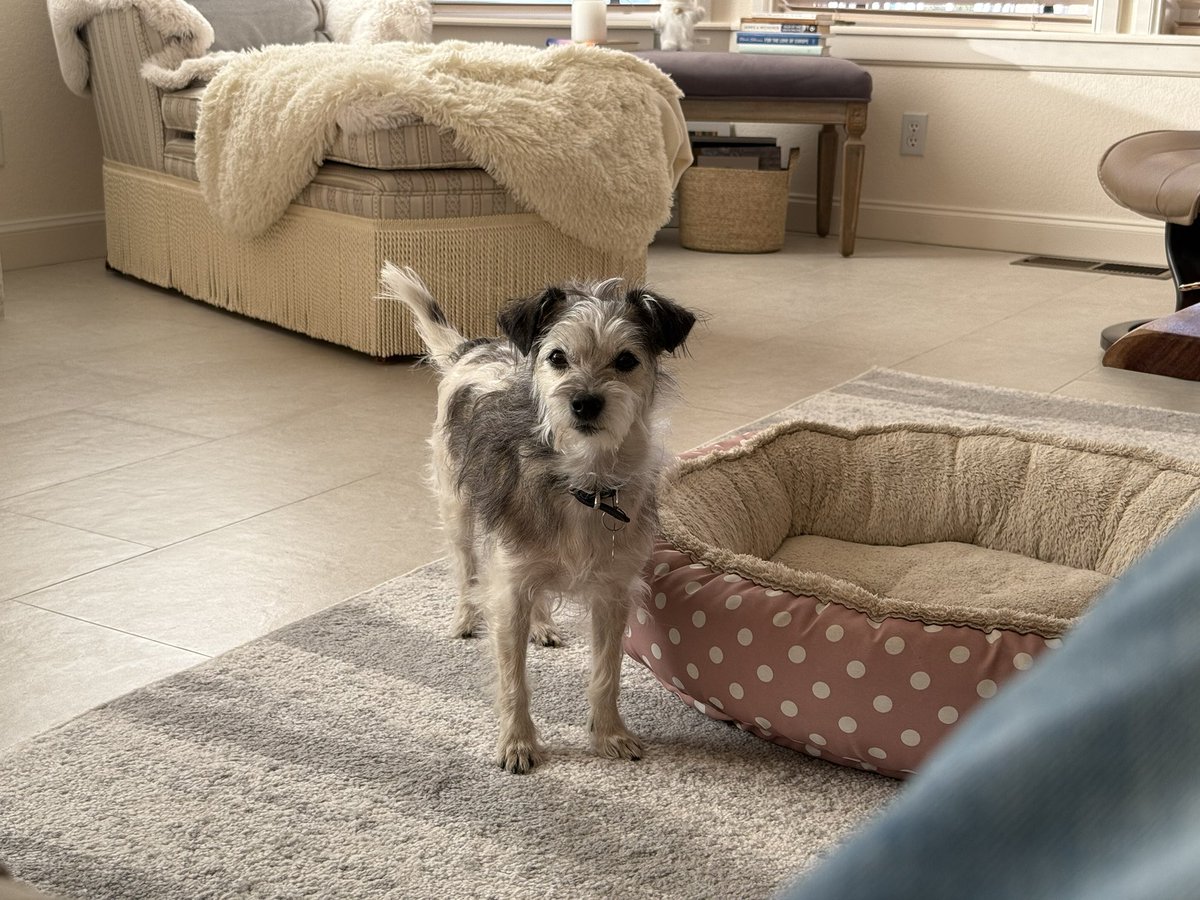 Nick Major tweet media